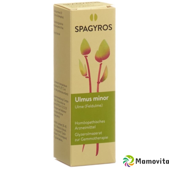 Spagyros Gemmo Ulmus Minor Glyc Maz D 1 30ml buy online