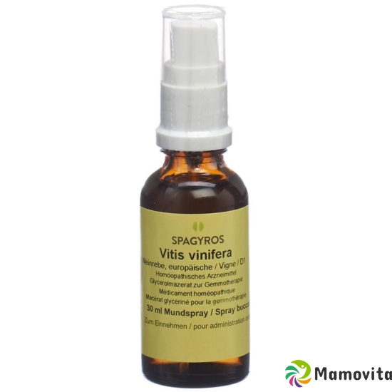 Spagyros Gemmo Vitis Vinifera Glyc Maz D 1 30ml buy online