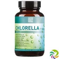 Naturkraftwerke Chlorella Pulver 60g