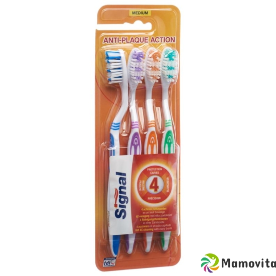 Signal Anti-Plaque Action Family Pack 4 Stück buy online