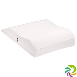 Elsa Soft Vein Pillow B 50x22cm Ecru