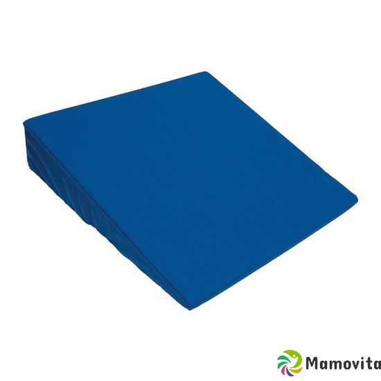 Sahag wedge cushion M cover 38x38x8cm blue buy online