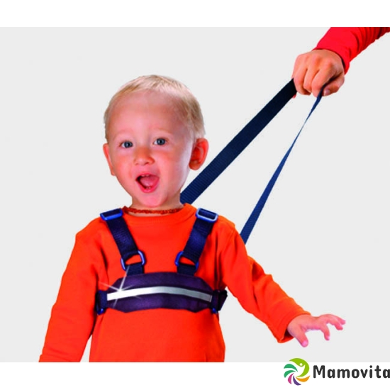 Bibi children's run and protective belt buy online