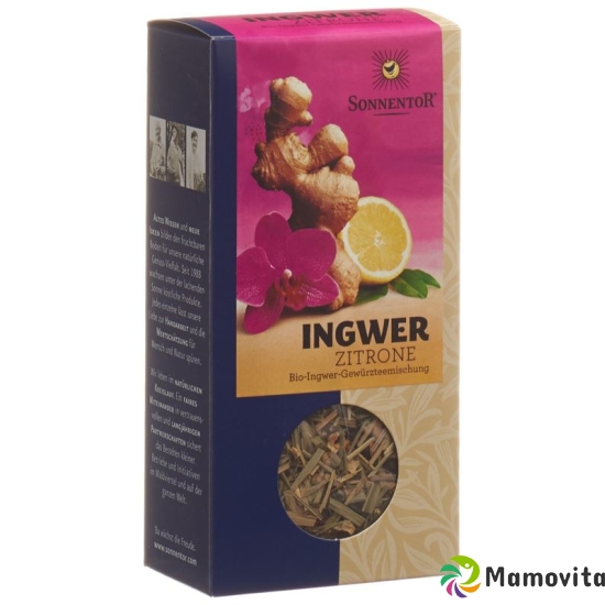 Sonnentor Ingwer Zitronen Tee 80g buy online