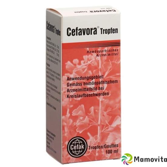 Cefavora Tropfen 100ml buy online