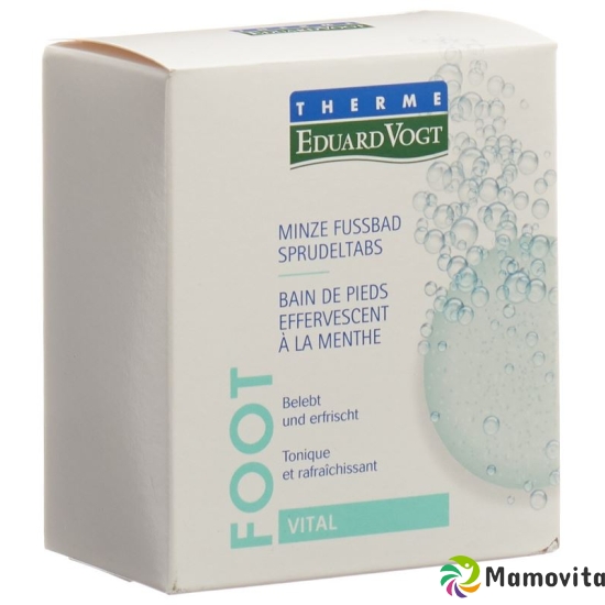 Therme Eduard Vogt Minze Fussbad 6x 30g buy online