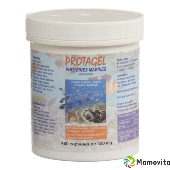 Protagel Complex Acides Amines Dose 480 Stück buy online