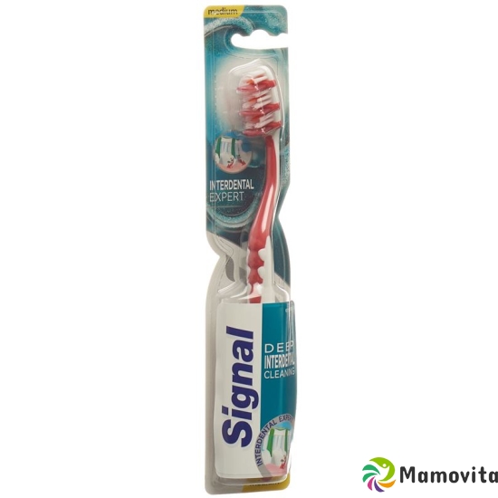 Signal Toothbrush Inter Act buy online