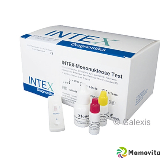 Intex Mononukleose Test 20 Stück buy online