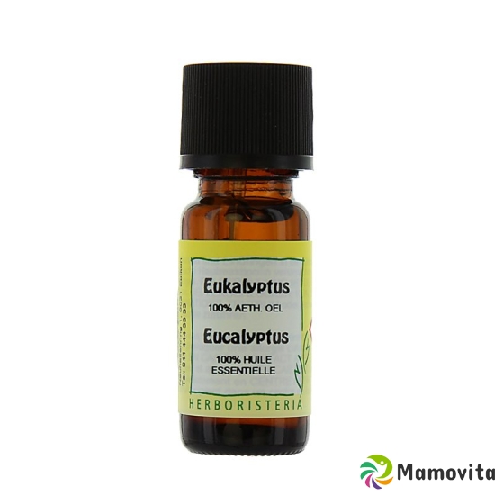 Herboristeria Eucalyptus Ätherisches Öl 10ml buy online