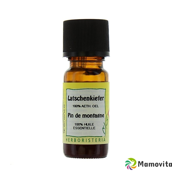 Herboristeria Latschenkiefer Ätherisches Öl 10ml buy online