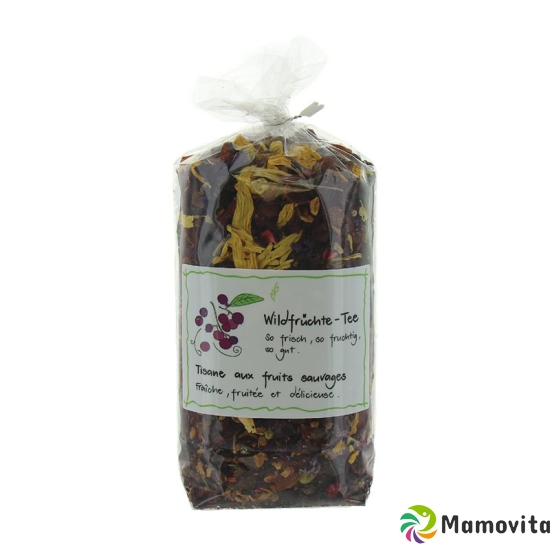 Herboristeria Tee Wildfrüchte im Sack 175g buy online