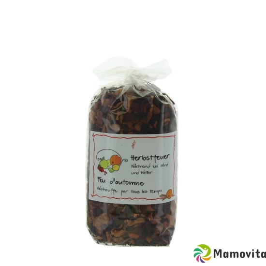 Herboristeria Früchtetee Herbstfeuer 120g buy online