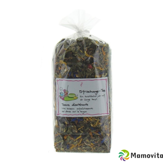 Herboristeria Tee Erfrischung im Jumbo Sack 180g buy online