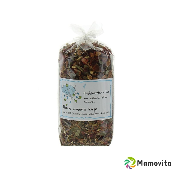 Herboristeria Tee Hudelwetter im Sack 190g buy online