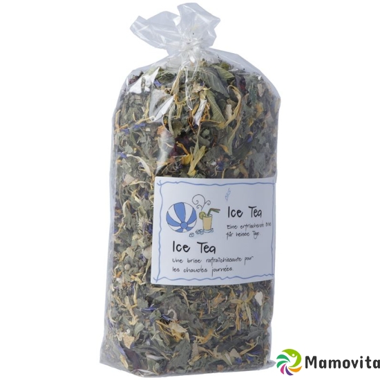 Herboristeria Ice Tea im Sack 80g buy online