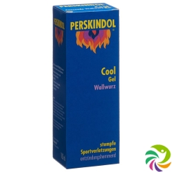 Perskindol Cool Wallwurz Gel 100ml