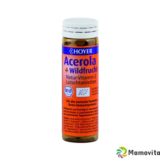 Hoyer Herbafresh Lutschtabletten Acerola Wildfr 60 Stück buy online