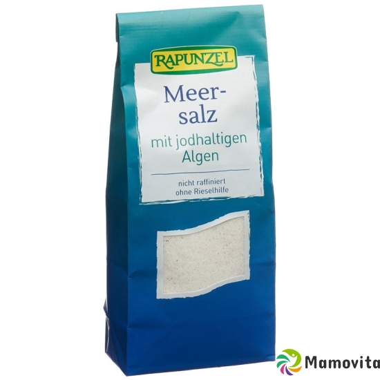 Vanadis Meersalz Jodiert Beutel 500g buy online