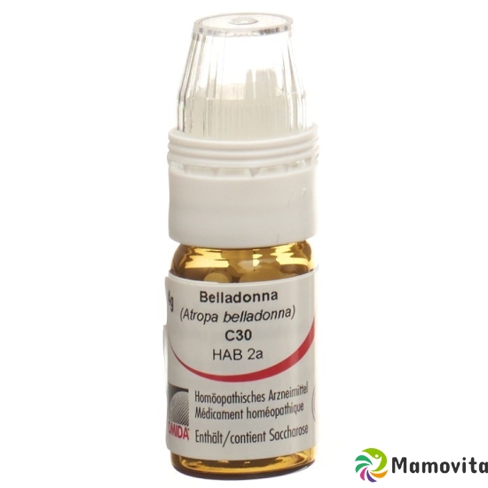 Omida Belladonna Globuli C 30 M Dosierhilfe 4g buy online