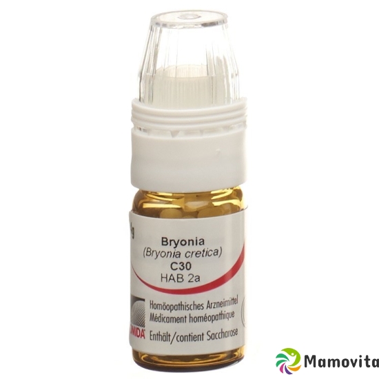 Omida Bryonia Globuli C 30 M Dosierhilfe 4g buy online