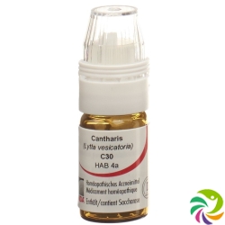 Omida Cantharis Globuli C 30 M Dosierhilfe 4g