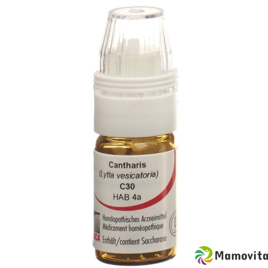 Omida Cantharis Globuli C 30 M Dosierhilfe 4g buy online