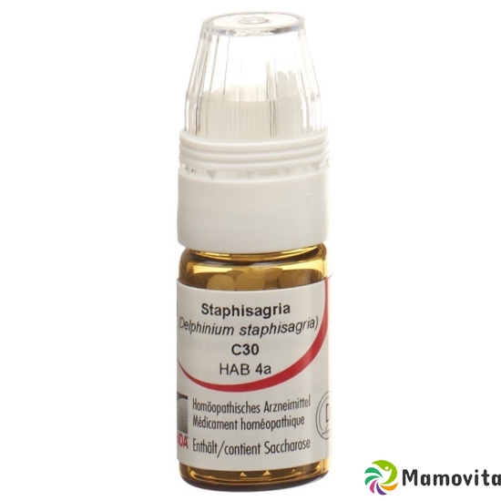 Omida Staphysagria Globuli C 30 M Dosierhilfe 4g buy online