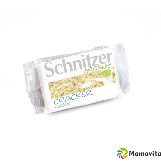 Schnitzer Bio Dinkel Knusperpause 100g buy online