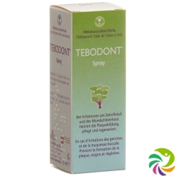 Tebodont Spray 25ml