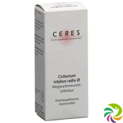 Ceres Cichorium Urtinkt 20ml