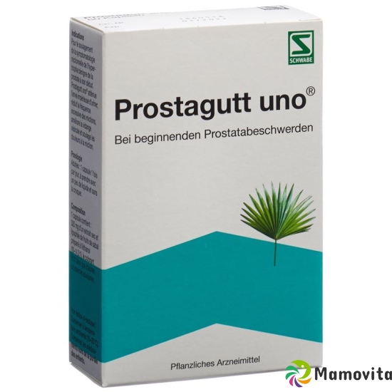 Prostagutt Uno 60 Kapseln buy online