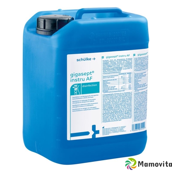 Gigasept Instru Af Desinfektion 5L buy online