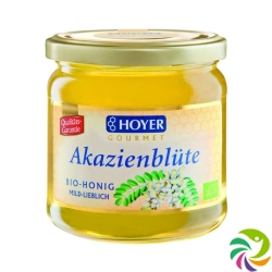 Hoyer Akazienhonig Bio Glas 500g