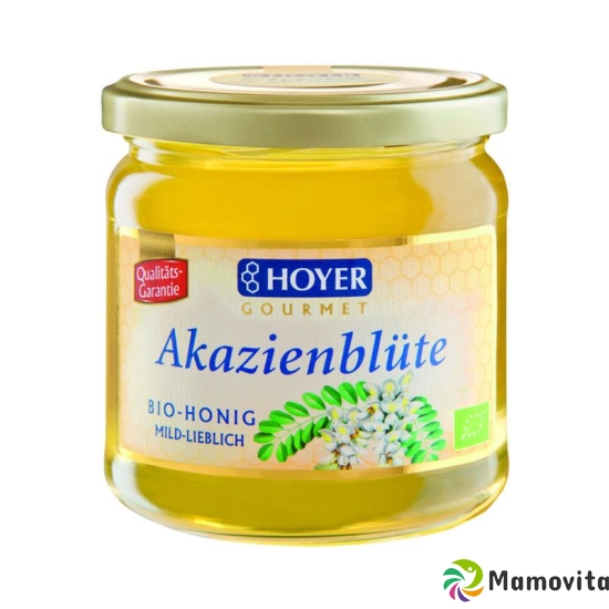 Hoyer Akazienhonig Bio Glas 500g buy online