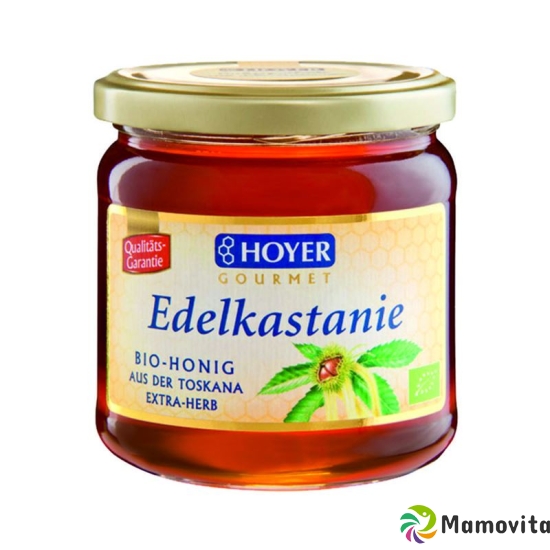 Hoyer Edelkastanienhonig Toskana Bio Glas 500g buy online