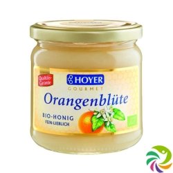 Hoyer Orangenblütenhonig Sizilien Bio Glas 500g