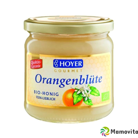 Hoyer Orangenblütenhonig Sizilien Bio Glas 500g buy online