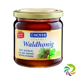 Hoyer Waldhonig Bio Glas 500g