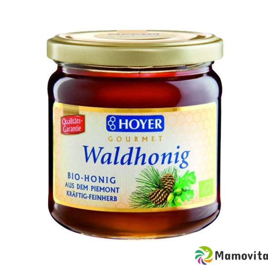 Hoyer Waldhonig Bio Glas 500g buy online