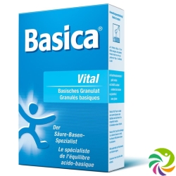 Basica Vital Mineralsalzpulver 200g