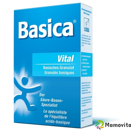 Basica Vital Mineralsalzpulver 200g buy online