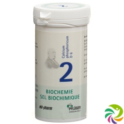 Pflueger Schüssler Nr. 2 Calc Phos Tabletten D 6 100g