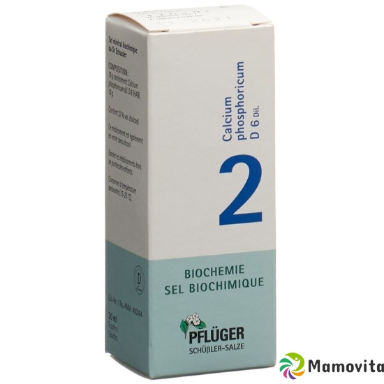 Pflueger Schüssler Nr. 2 Calc Phos Tropfen D 6 30ml buy online