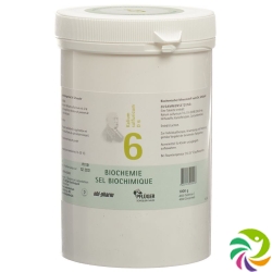 Pflueger Schüssler Nr. 6 Kal Sulf Tabletten D 6 1000g