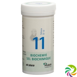 Pflueger Schüssler Nr. 11 Silicea Tabletten D 12 100g