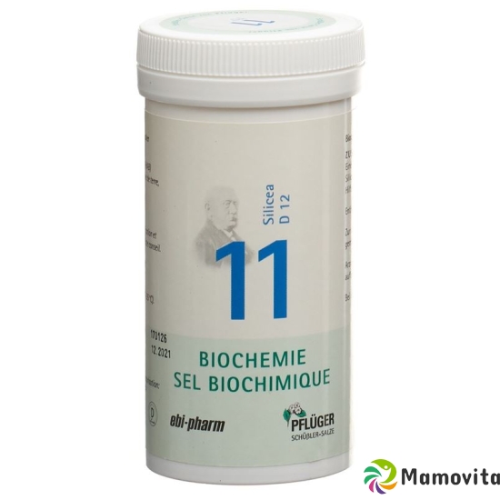 Pflueger Schüssler Nr. 11 Silicea Tabletten D 12 100g buy online