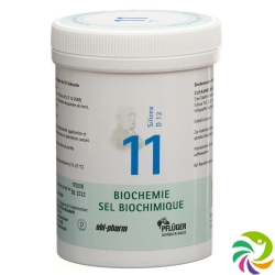 Pflueger Schüssler Nr. 11 Silicea Tabletten D 12 250g