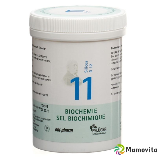 Pflueger Schüssler Nr. 11 Silicea Tabletten D 12 250g buy online