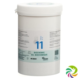 Pflueger Schüssler Nr. 11 Silicea Tabletten D 12 1000g